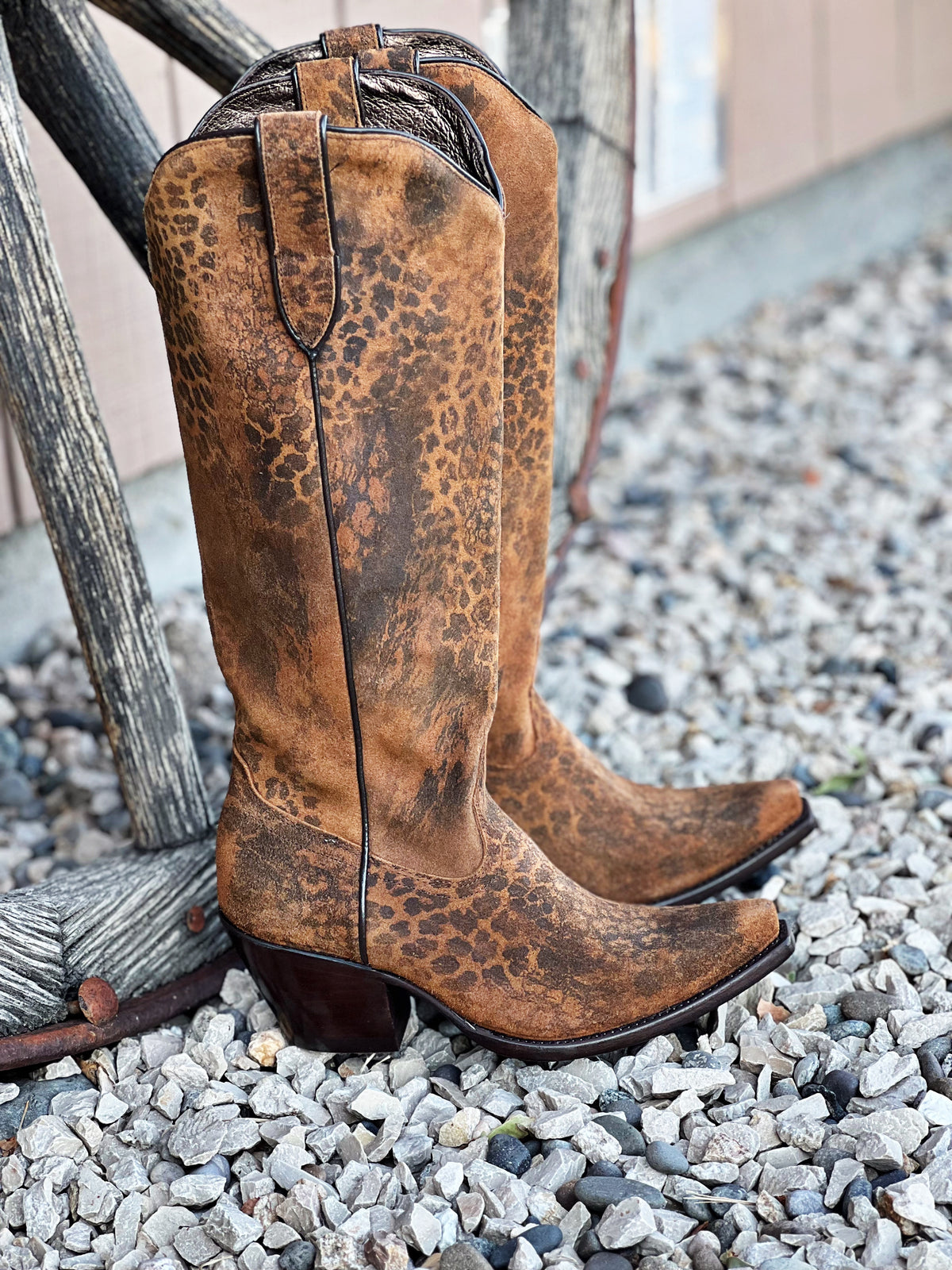 The Casanova Boot in Distressed Leopard