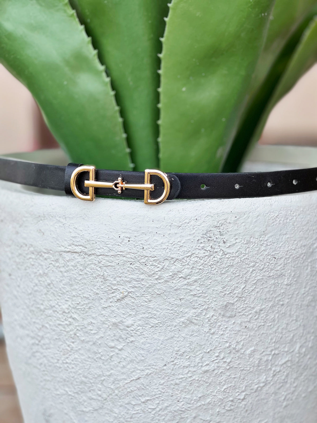 The D Ring Bit Skinny Belt