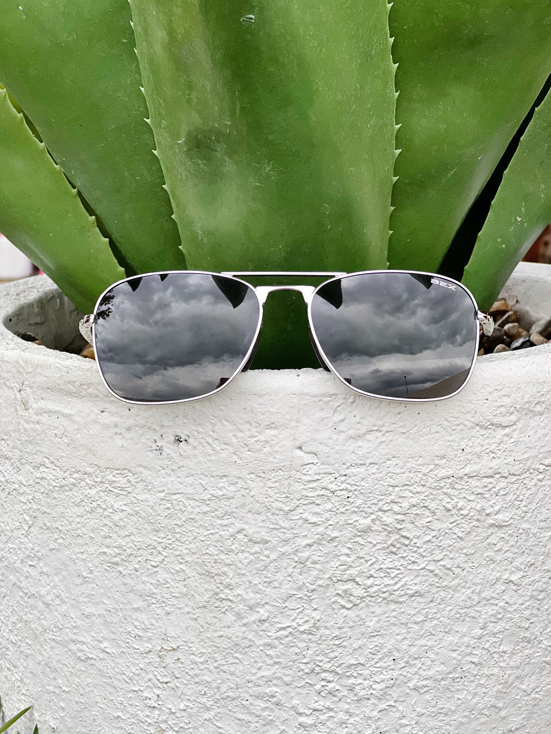 Bex Ranger Sunglasses in Silver and Black