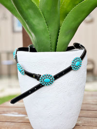 The Turquoise Concho Belt in Black