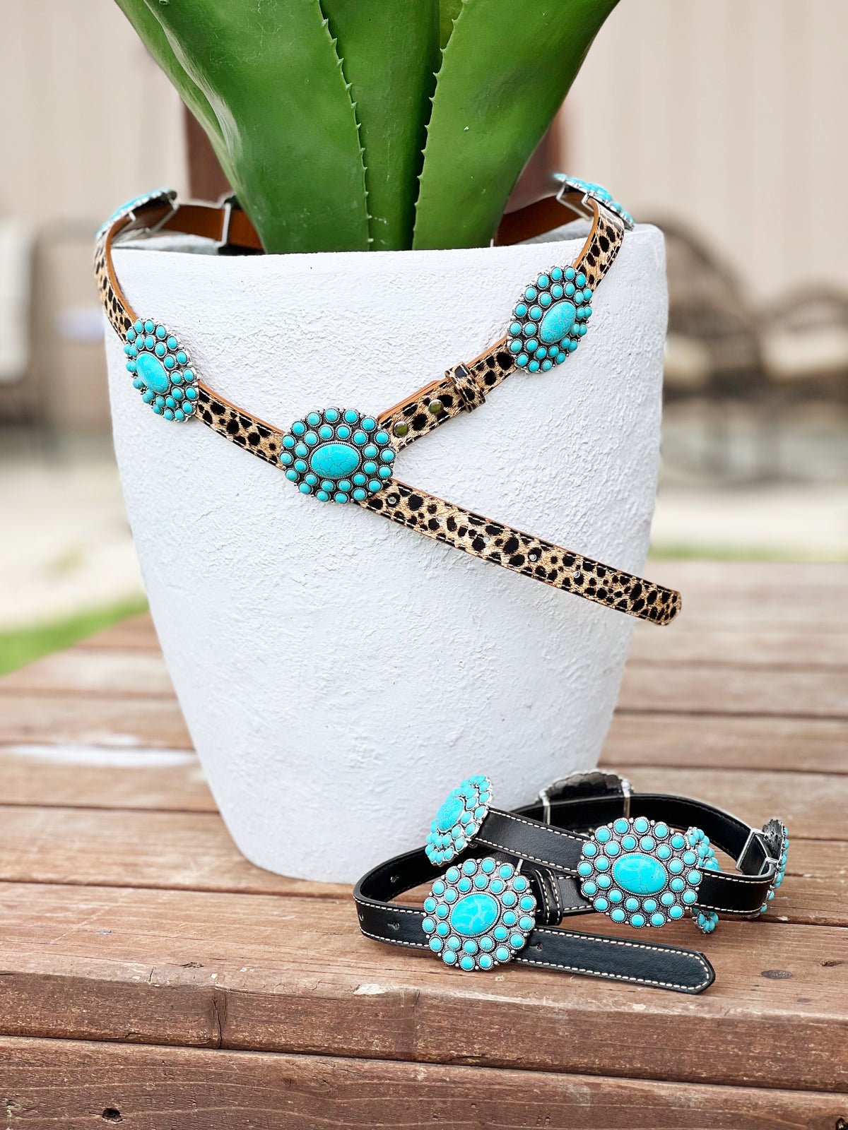 The Turquoise Concho Belt in Leopard