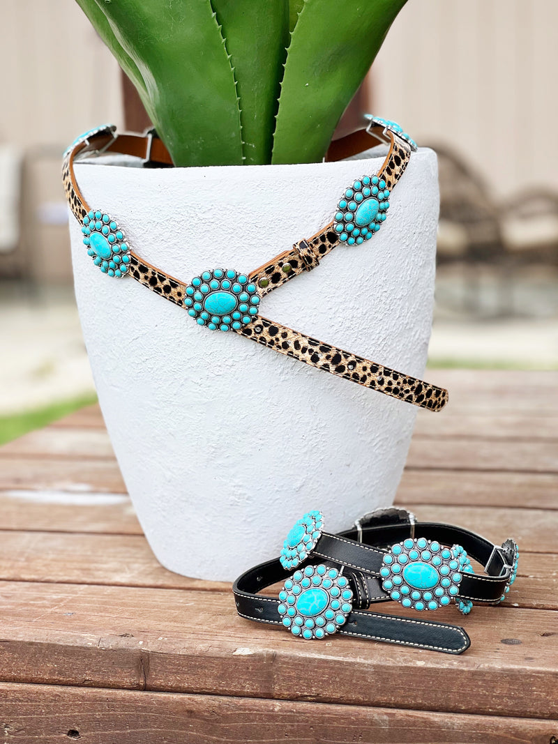 The Turquoise Concho Belt in Leopard